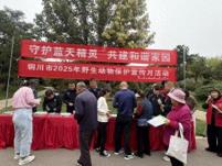 守护蓝天精灵 共建和谐家园 铜川市开展野生动物保护宣传月活动