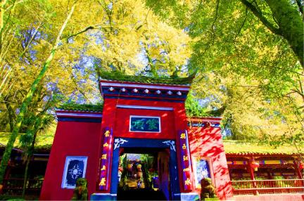 护航重阳登高！2025绿跑中国全民健康大赛暨“蒙顶山茶马古道”重阳登高活动急救跑者名单公