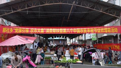 巴马开展“党旗引领 农市大集”活动