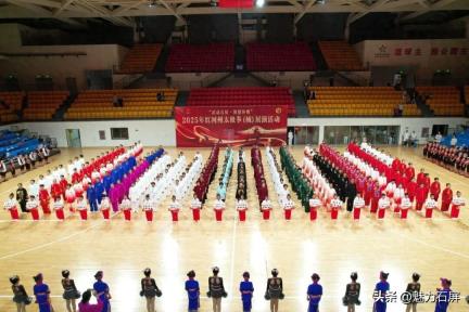 以武会友 2025红河州太极拳（械）展演活动在石屏举办