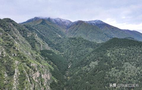 蔚县小五台山管理中心开展主题宣传活动
