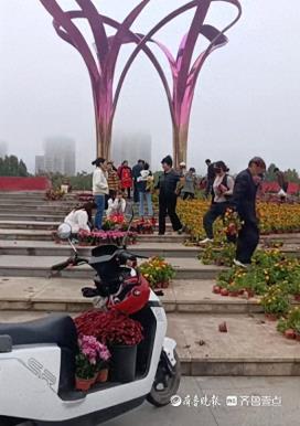 霍邱县人民广场市民 “组团搬盆栽”？官方回应：系国庆活动废弃品，可自行取走