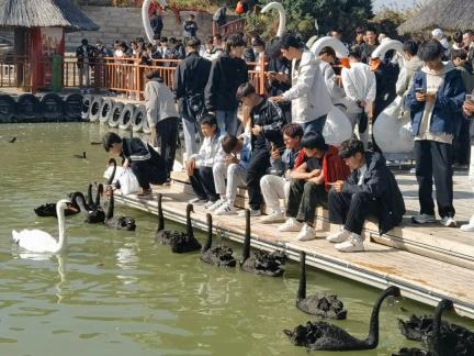 万名高校新生集结石嘴山！开启行走的思政课活动