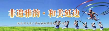 延边广场舞代表队在吉林省群众广场舞展演活动中连获佳绩