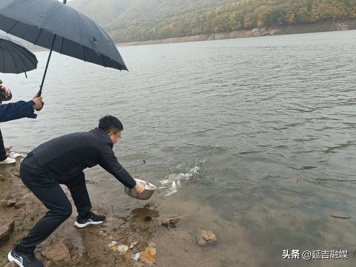 25万尾鱼苗投放水库 延吉市开展2025年增殖放流活动