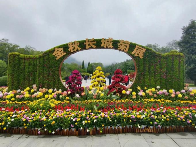 秦皇岛市军休一所、军休三所联合开展金秋赏菊主题活动
