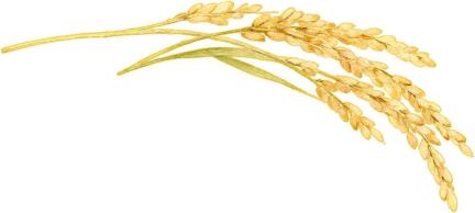 诚德守法共建食安丽水，优品推介共享浙产好味——2025年丽水市食品安全宣传周活动启动