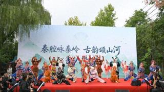 秦岭脚下秦声亮！“秦腔·秦岭”主题文化活动唱响生态人文新韵