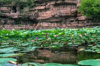 秋日邀约！资阳安岳推出“免票+优惠”双惠活动 激活错峰旅游新热潮