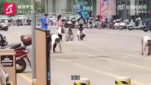 惠州多人爬行学狗叫，系公司团建活动