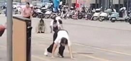 广东惠州街头多名男女“在地上爬行学狗叫”？社区回应：一公司组织的突破自我团建活动