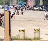 广东惠州街头多人爬行学狗叫，系公司团建活动时发生的行为，涉事企业已致歉