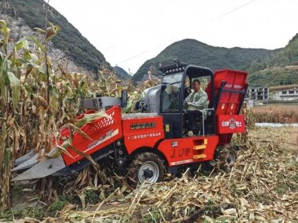 六盘水市水城区举办玉米机收减损活动 以技节粮赋能乡村振兴