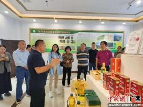 全国采购商对接河池产销考察活动成果丰硕