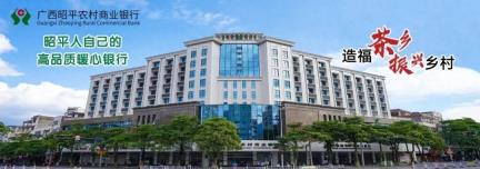 2025年贺州市“社保服务进万家”活动在昭平县启动