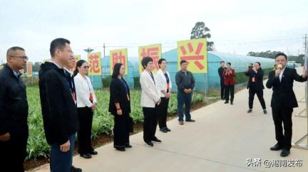 住贵自治区政协委员、贵港市政协委员、港南区政协委员代表到港南区开展2025年度专题视察活