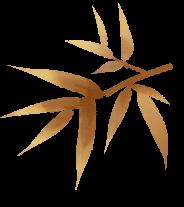 大理市中心敬老院重阳节敬老活动温情开展