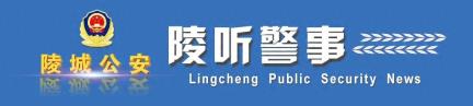 情暖桑榆心向党，传承精神续华章——陵城公安开展重阳节主题活动