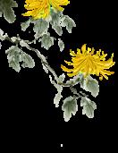 桑榆未晚 艺校情长——连云港市艺术学校2025年重阳节敬老活动温馨举行