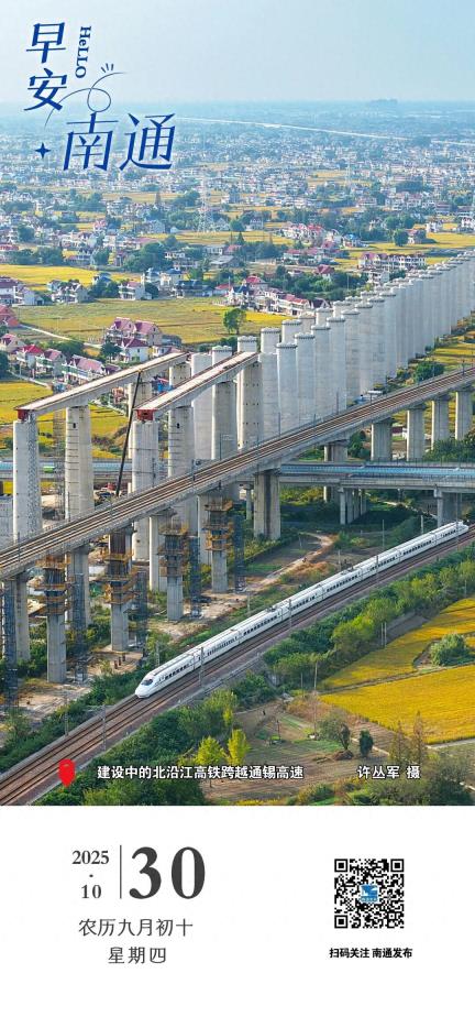 2025年南通金秋赏菊活动启幕｜南通早七点