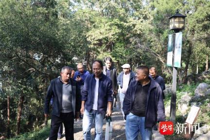 欣赏石刻、以墨会友，苏州金庭镇开展书法主题全民阅读活动