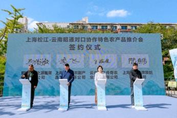 2025年上海市松江区对口协作昭通特色农产品推介会系列活动成果满满