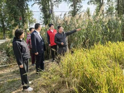 盐城亭湖人保开展“党建共建聚合力，保险气象护三农”主题党日活动