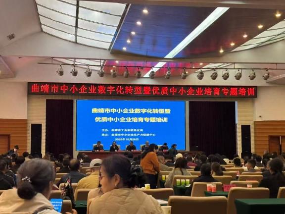 优质中小企业培育曲靖专场活动成功举办