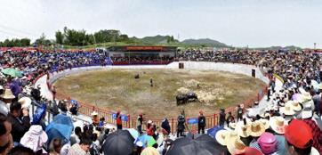 11月15日“魅力周鹿 活力奔跑”相约周鹿，八大精彩活动等您畅享！